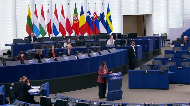 Extreme weather events in particular in Portugal, southern Italy, Malta and Greece - European response in strengthening readiness, preparedness and solidarity mechanisms: MEPs debate